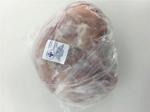 Lapin entier