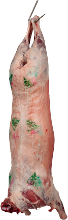 L'agneau entier